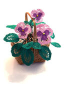 fsl pansies