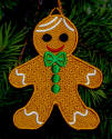 FSL Gingerbread Boy