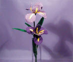 freestanding lace iris