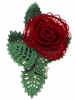 redroseweb.jpg (42394 bytes)